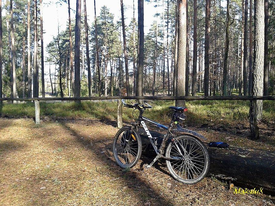 Pierwsze błoto 2015