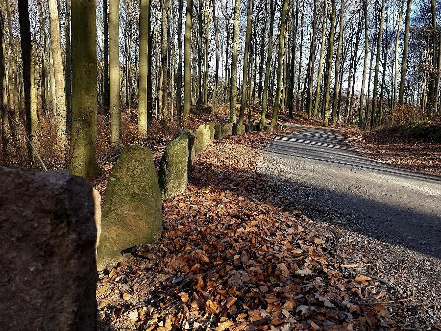 Droga Górska na Bukowej