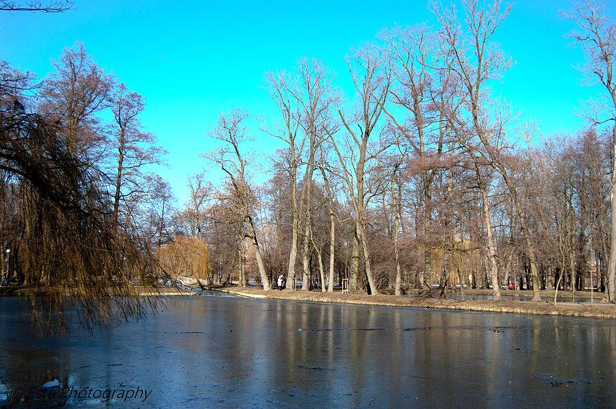 Pruszków park Potulickich