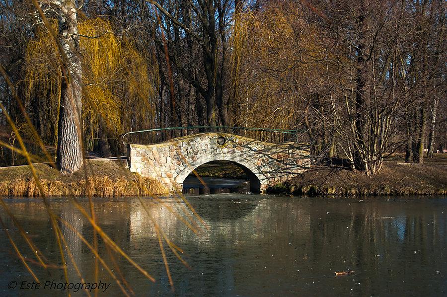Pruszków park Potulickich