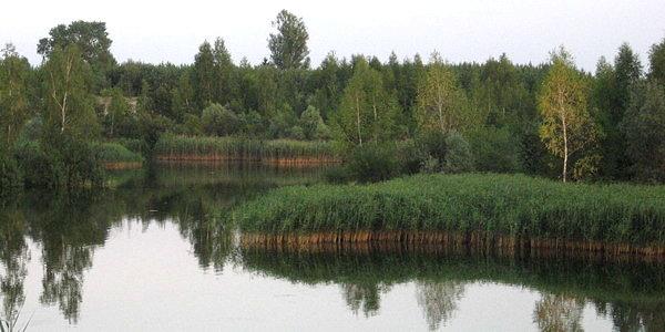 Zbiornik wodny w Woskrzenicach Dużych