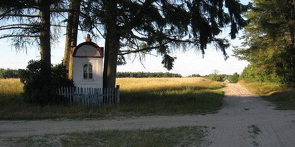 Cieleśnica. Kapliczka w polu