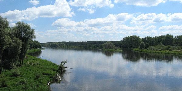 Rzeka Bug