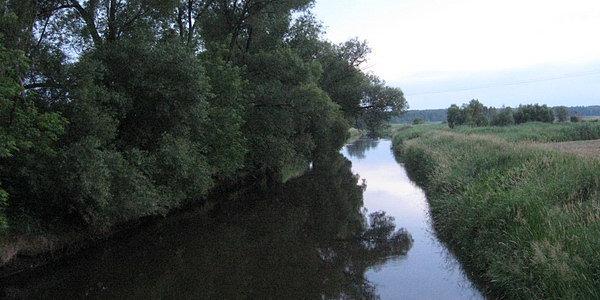 Rzeka Krzna w Porosiukach