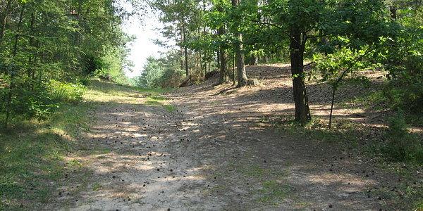 Kalwaria Podlaska w Serpelicach