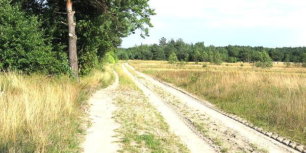 Prawie nad Rudką