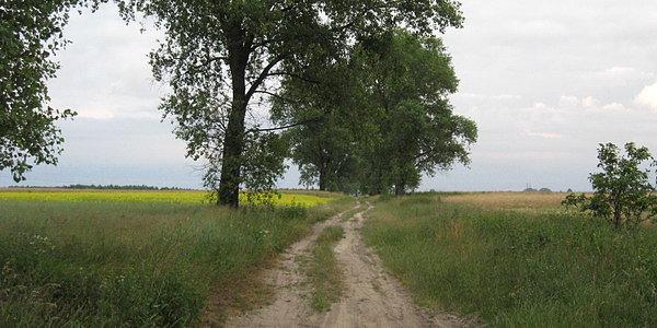 Polna droga w okolicy Sitnika