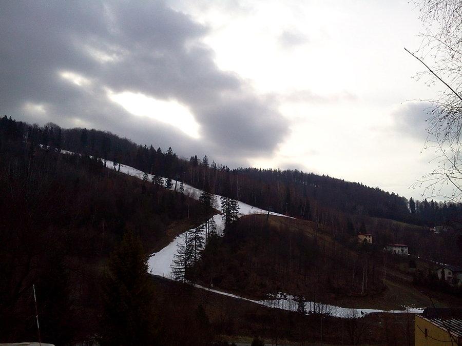 Trasa narciarska na Palenicy