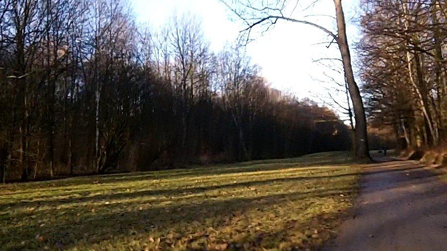 Jeszcze chwila i wszystko powinno się zazielenić