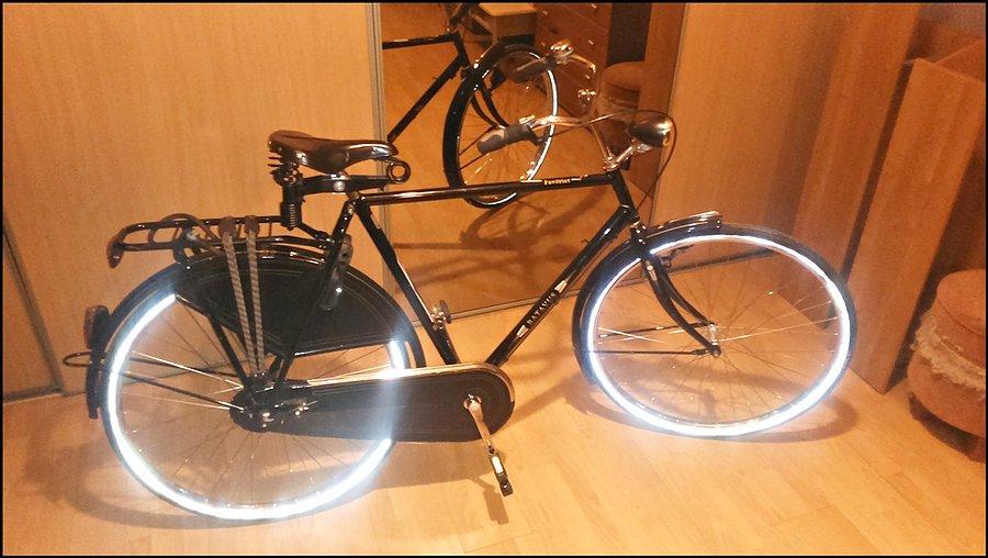 Batavus Favoriet 2008