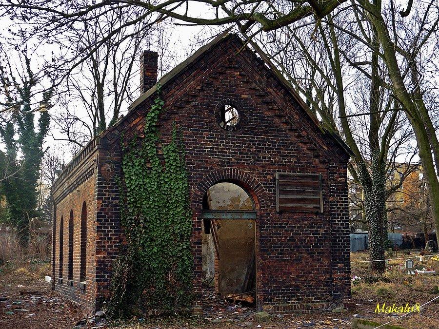 Stary cmentarz w Ożegowie