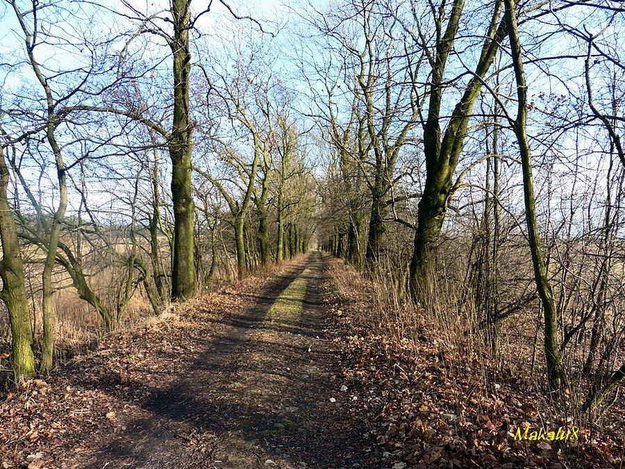 Fajna dróżka