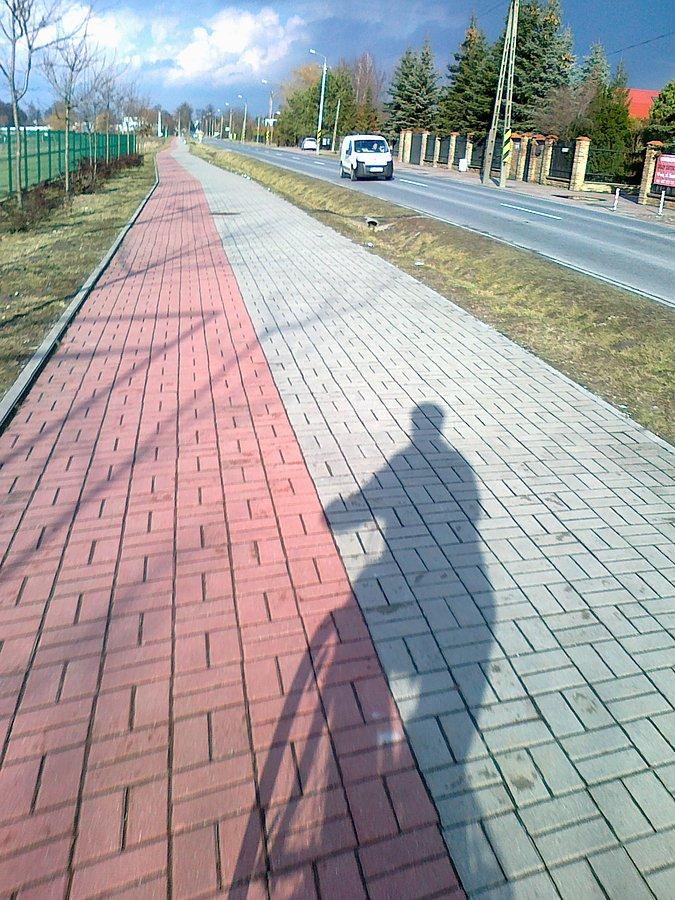 W słońcu