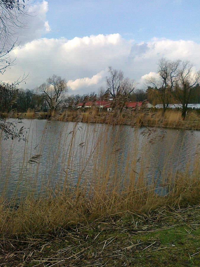 Staw w Zielonkach