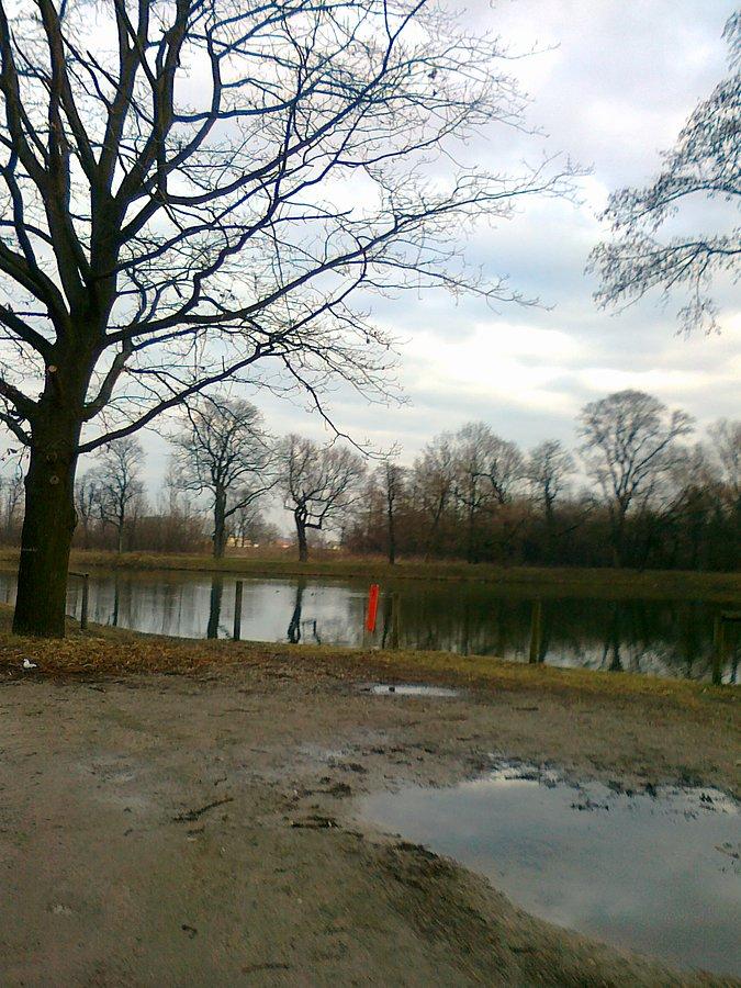 Staw w Ołtarzewie