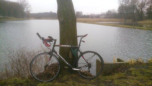 Rower nad stawami w Dominowie