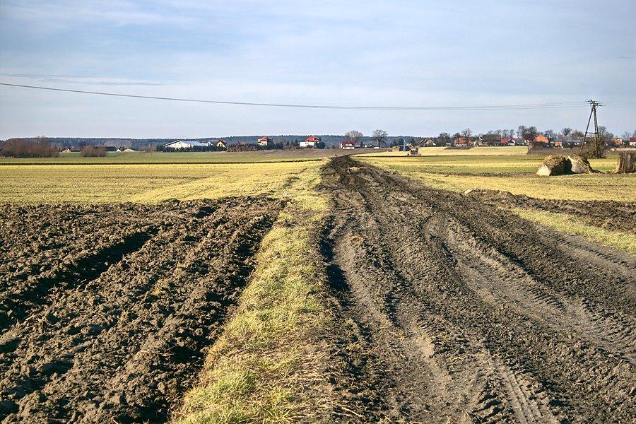 Błotnista droga przed Kunowem
