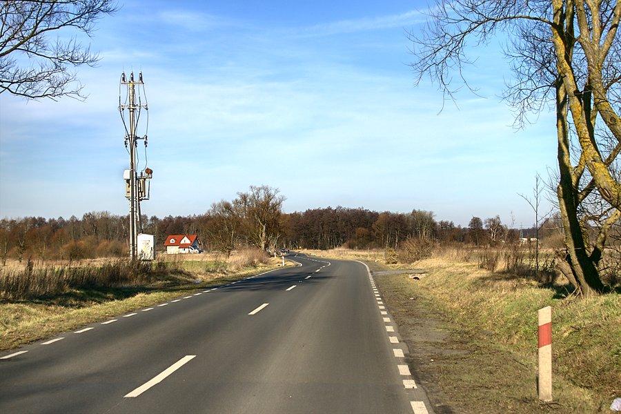 W drodze powrotnej nad Miedwie