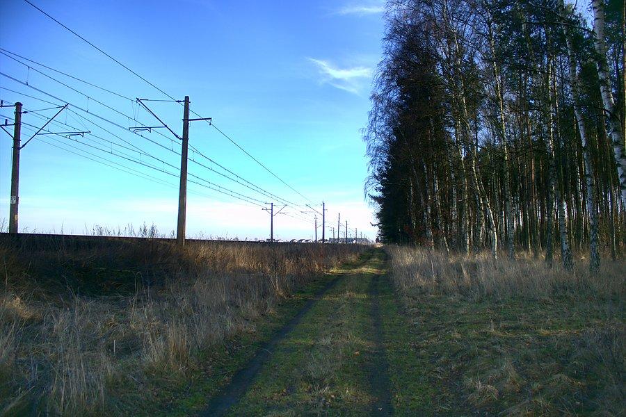 W drodze do Grzędzic