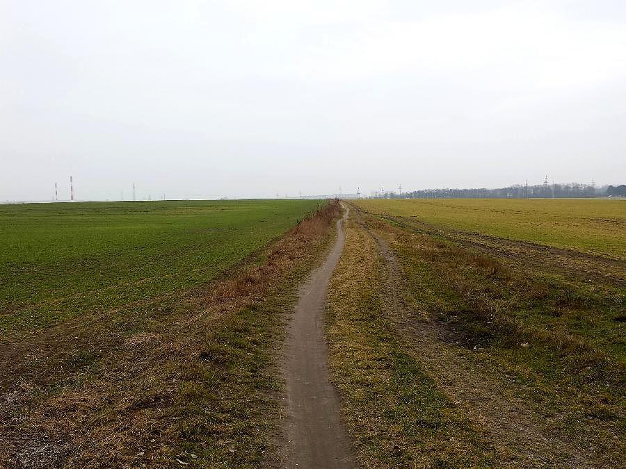 Ul.Przemysłowa ,widok z lasu