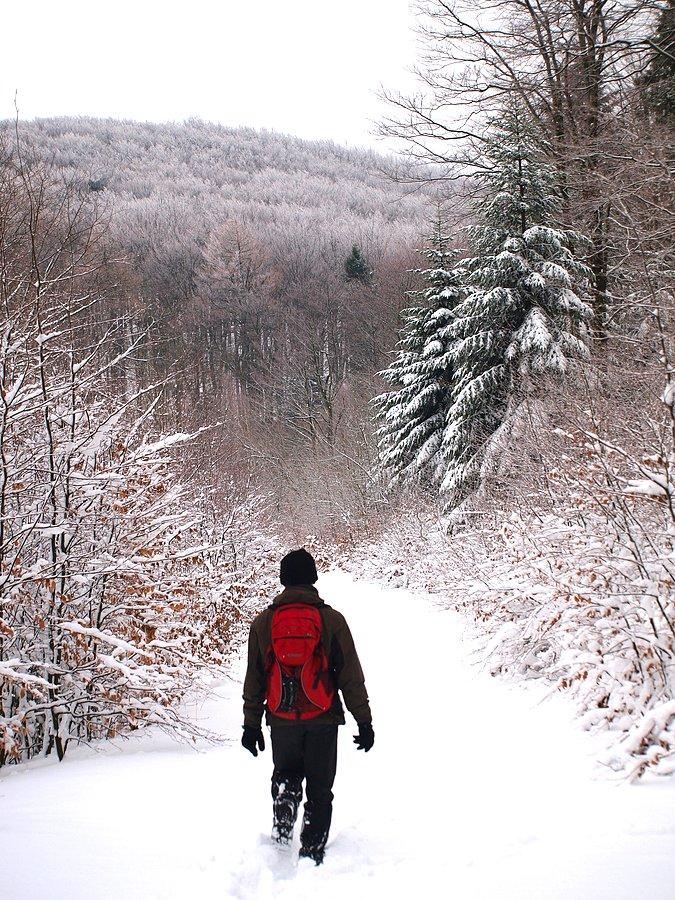 Po Niskim chodzę tak
