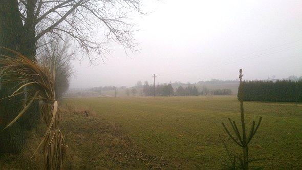 Widok na pola w Zemborzycach