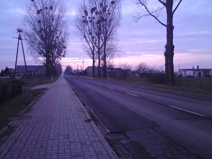 W drodze do Brzegu