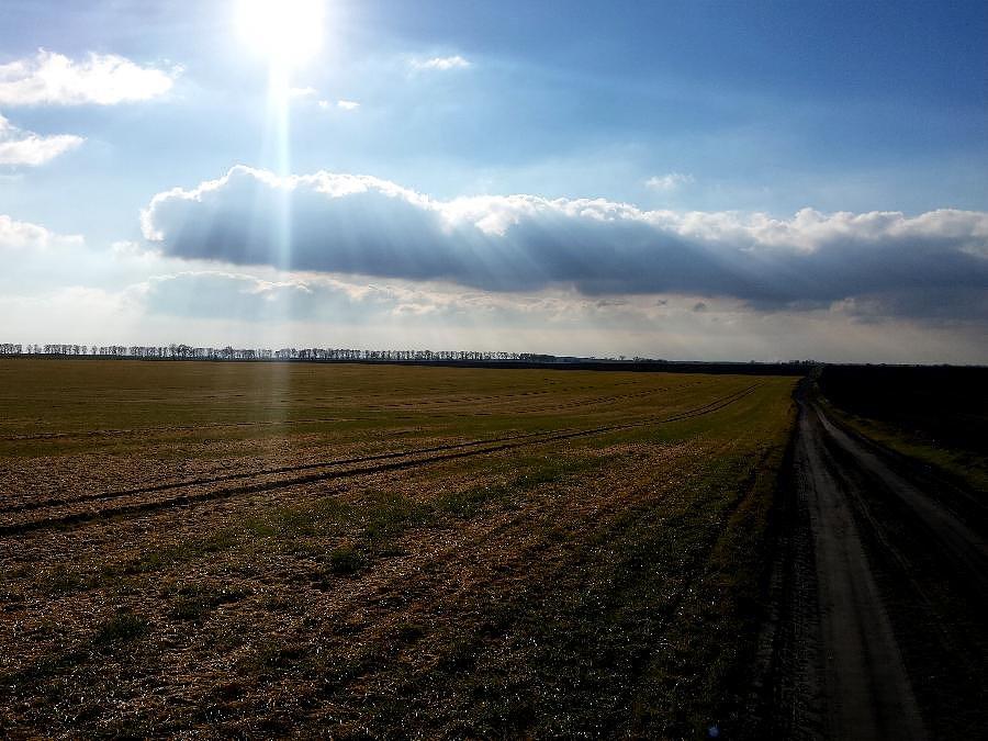Ulubiona żużlówka z Dębicy do Wierzbna