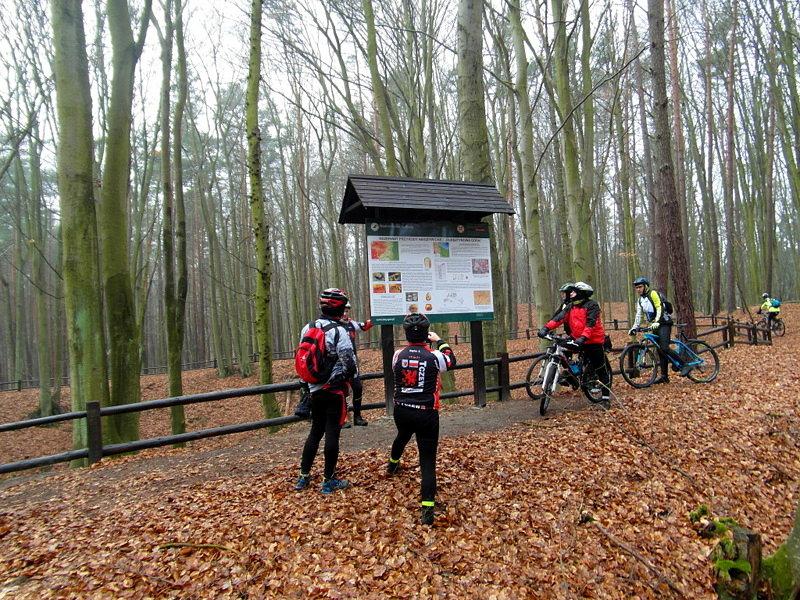 Rezerwat Przyrody "Bursztynowa Góra" - Bąkowo