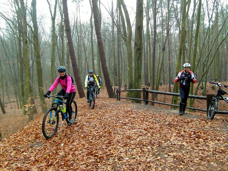 Rezerwat Przyrody "Bursztynowa Góra" - Bąkowo
