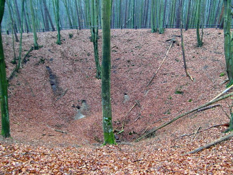 Rezerwat Przyrody "Bursztynowa Góra" - Bąkowo