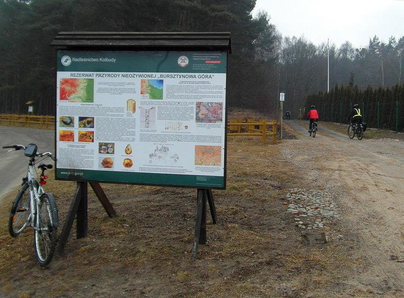 Rezerwat Przyrody "Bursztynowa Góra" - Bąkowo