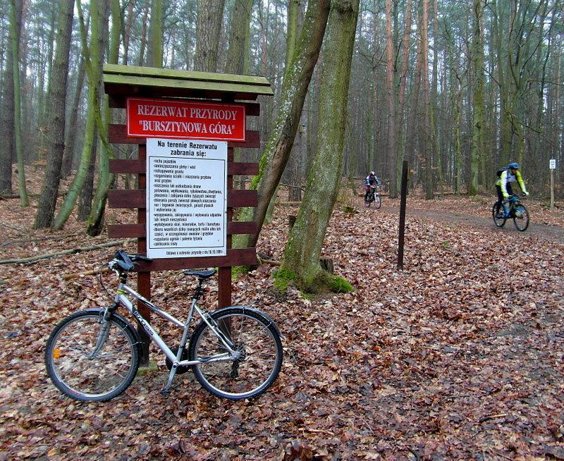 Rezerwat Przyrody "Bursztynowa Góra" - Bąkowo