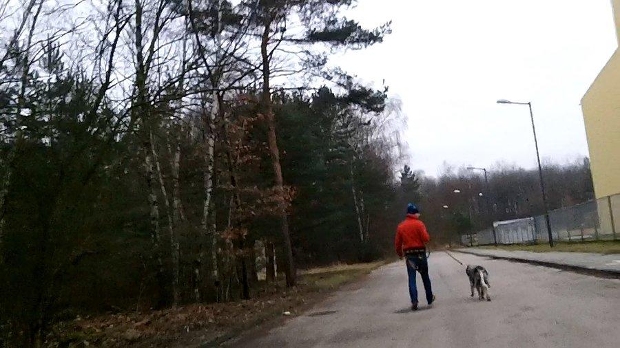 Wyprowadzanie pieska środkiem drogi