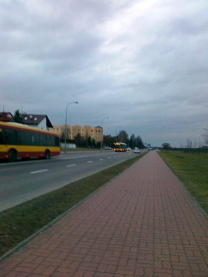 Piastów Śląskich