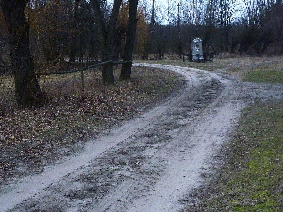 Droga we wsi Zamość. Kampinoski PN