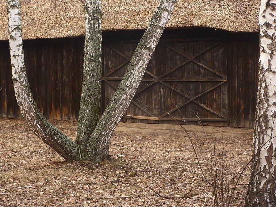 Skansen budownictwa puszczańskiego w Granicy