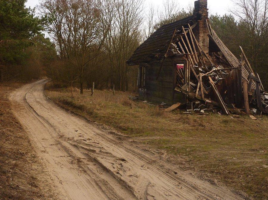 Zniszczona chałupa w Zalasku (Kampinoski PN). Tym samym kolejna wieś przechodzi do historii i zostanie po niej tylko ślad na mapie