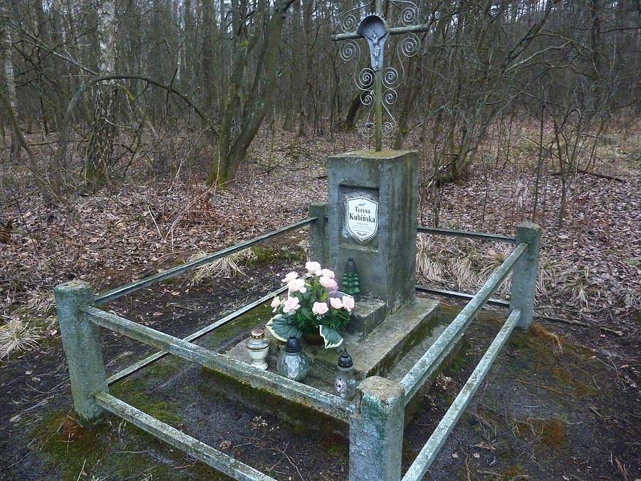 Symboliczny grób upamiętniający zamordowaną w tym miejscu w 1962 r. czternastoletnią Teresę. Zamościńska Droga, KPN