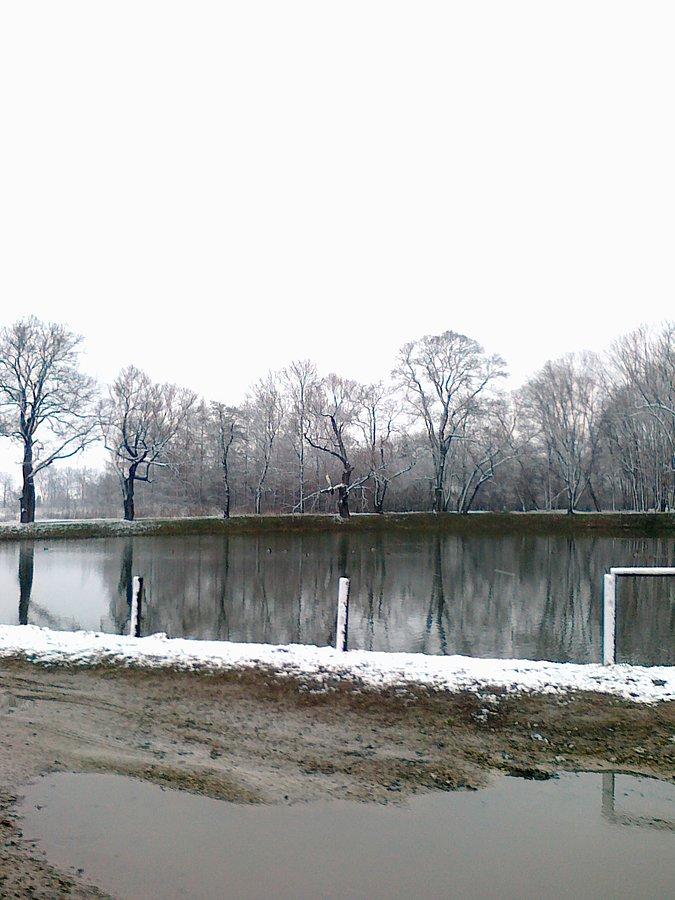 Staw w Ołtarzewie