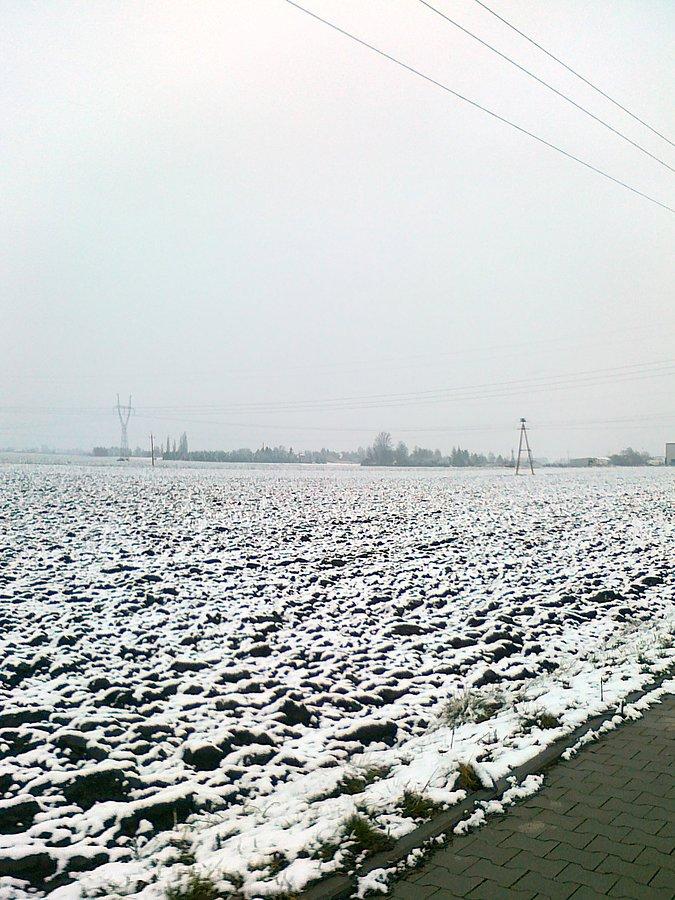 Posypane śniegiem pole