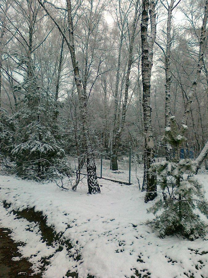 I jeszcze jeden
