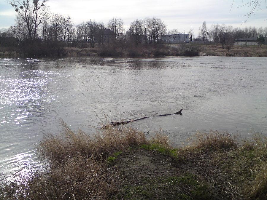 Odra się podnosi