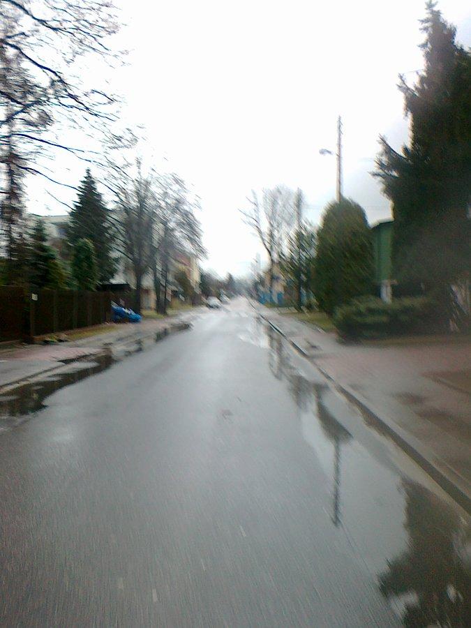 Mokre Jelonki