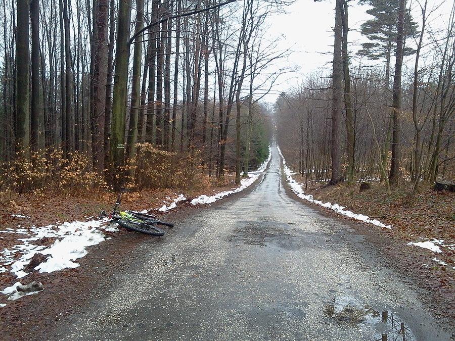 Prawie cały śnieg stopniał
