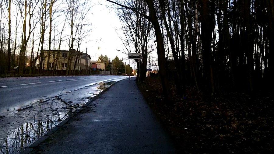 Nowe gałęzie na DDRce w Kochłowicach