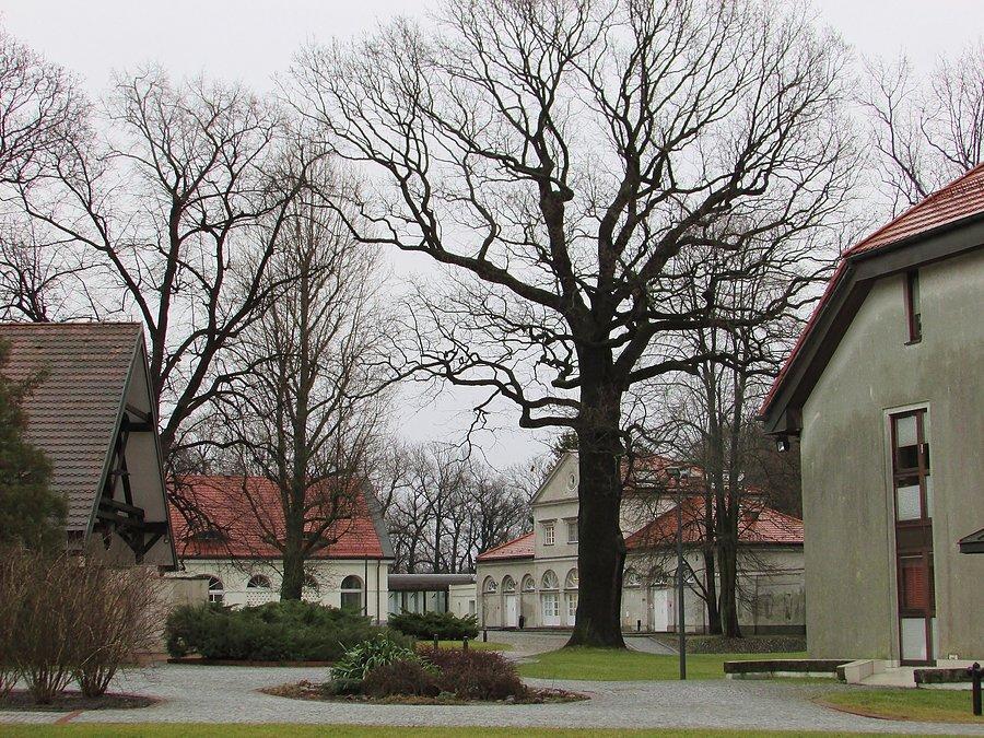 Natolin