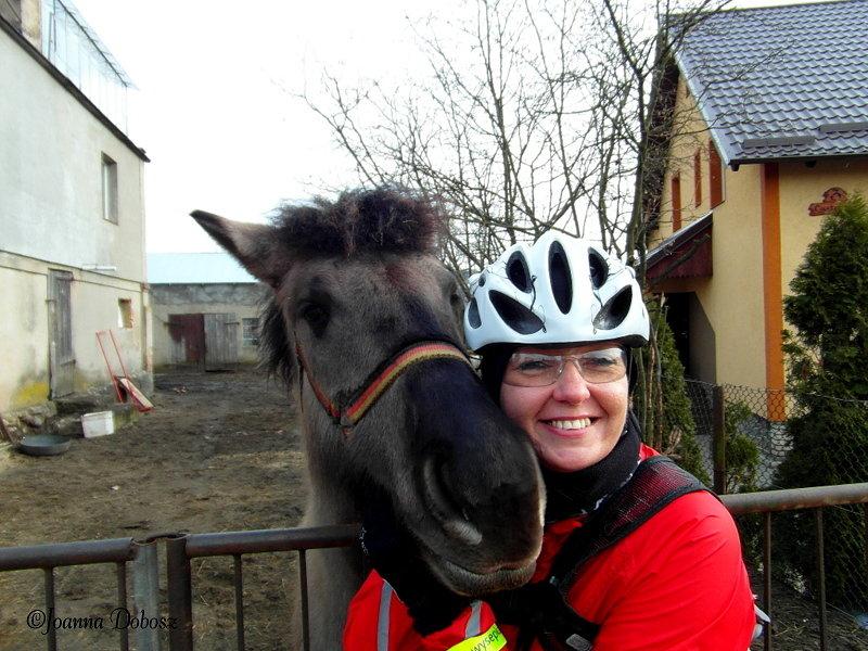 Pogodny koń w Pogódkach i ja