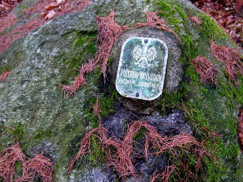 Kamień Babuni- Leśnictwo Jastrzębce