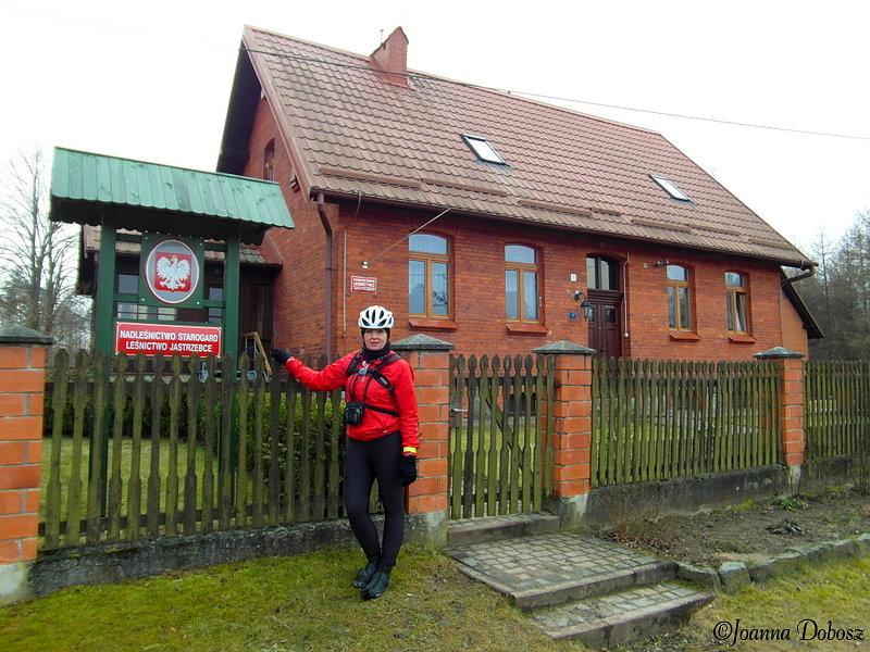 Leśnictwo Jastrzębce